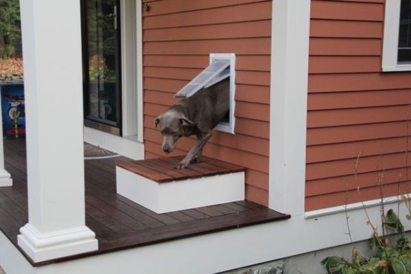 dog door exterior 