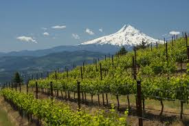 Mt Hood and Wineries